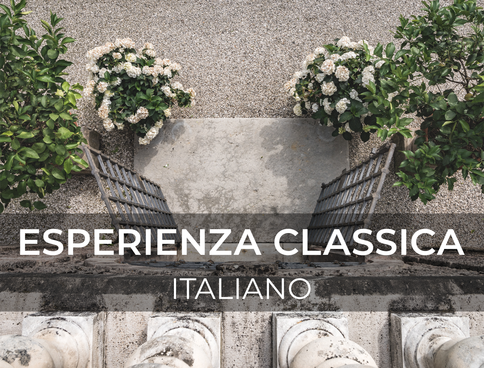 CLASSIC EXPERIENCE - ITALIAN