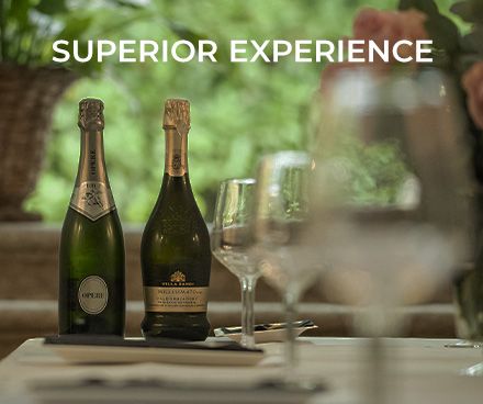 Esperienza Superiore